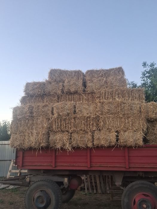 Vând baloti de paie