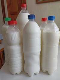 Продается свежее козье молоко.Табиғи таза ешкі сүті сатылады