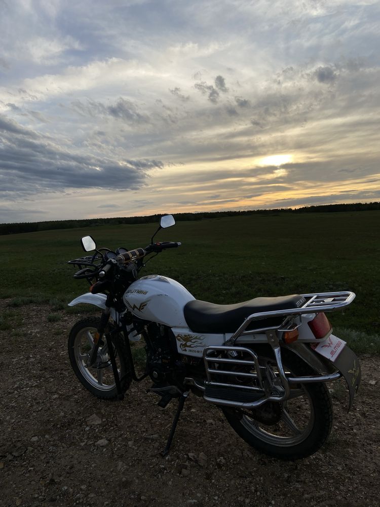 Jelmaia 250