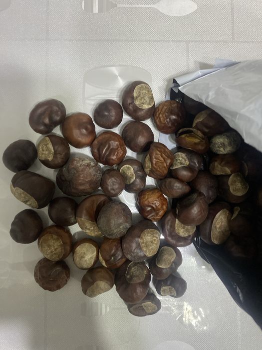 Каштаны домашние