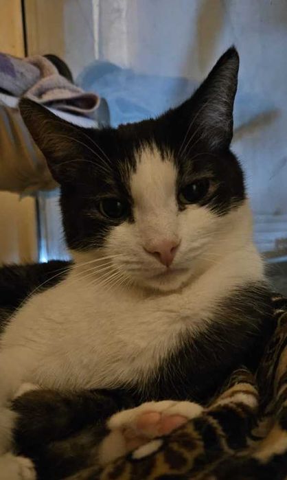 Ищем любящую семью