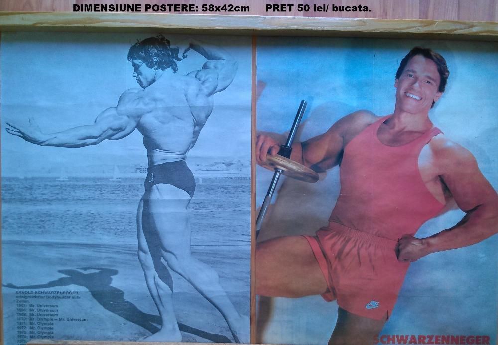 Postere Arnold Schwarzenegger