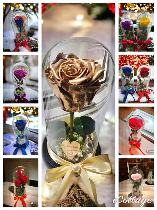 Cupola cu trandafiri criogenati