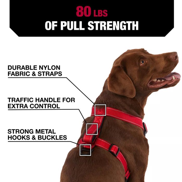 Ham roșu ajustabil pentru câini Kong Mărimea S