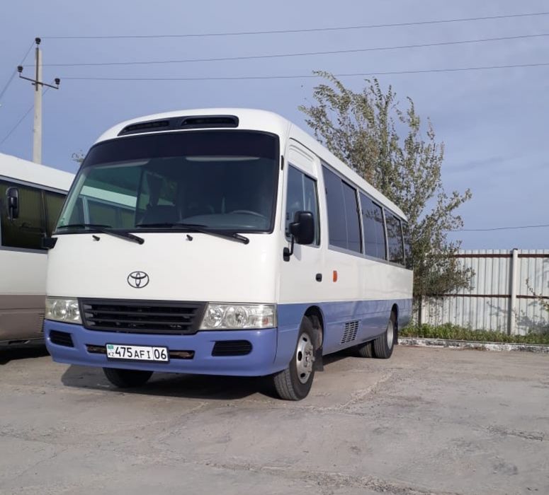 Аренда автобусов