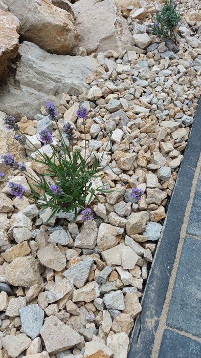 Piatra decorativa,grădini,alei,morminte