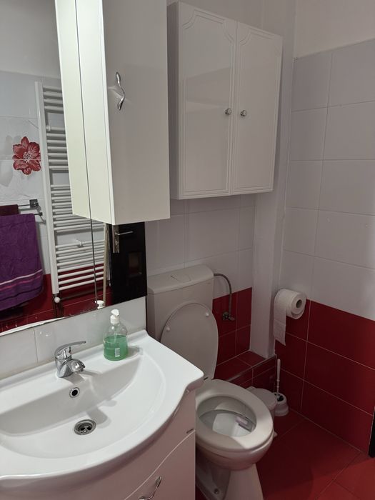 Apartament 2 camere-decomandat, utilat. Zona Malul Mureșului