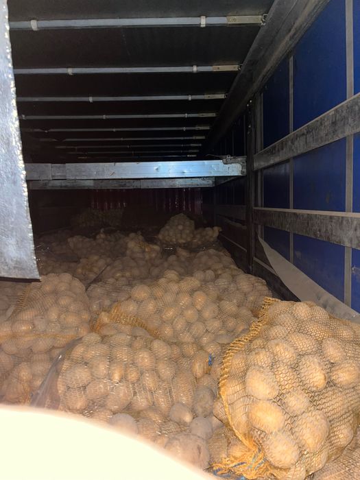 Cartofi super calitate !!