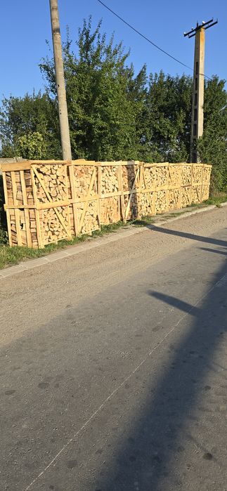 Lemn foc Fag paletizat 800 lei paletu