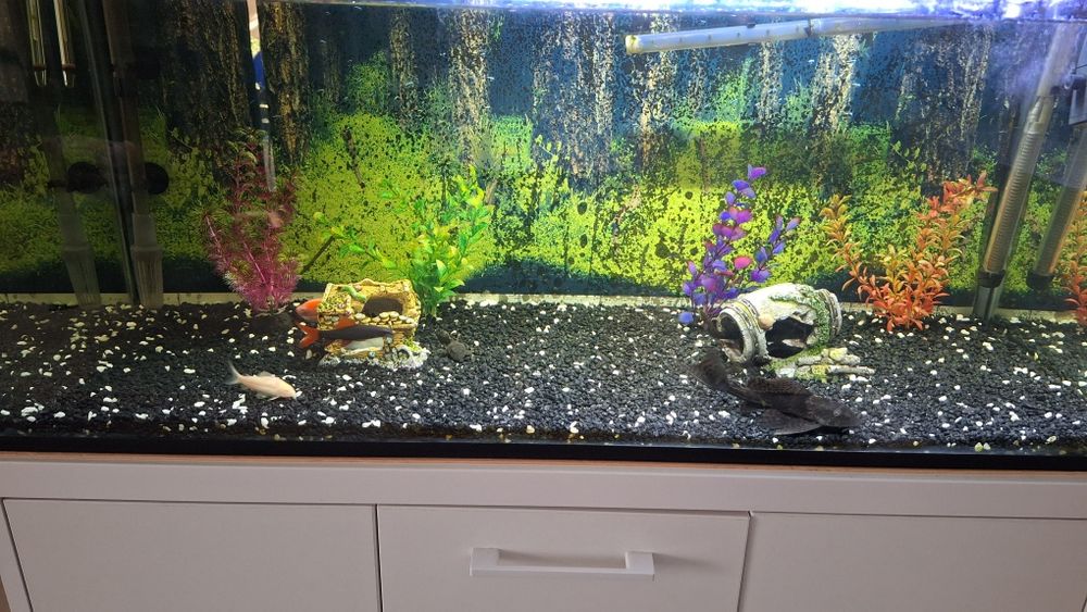Vand acvariu 180L