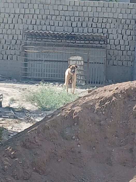 Камаз манипулятор 65117