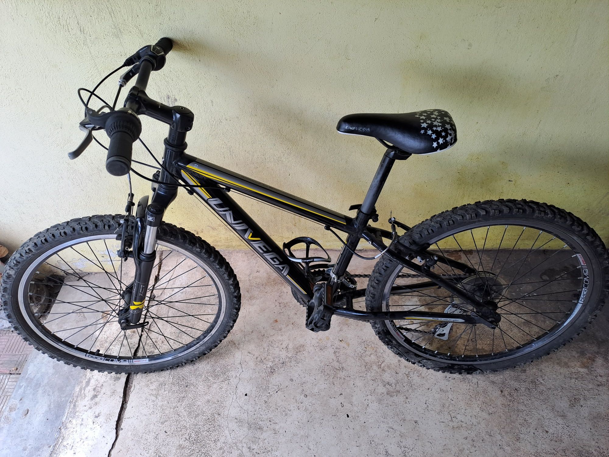 Bicicletã copii 24