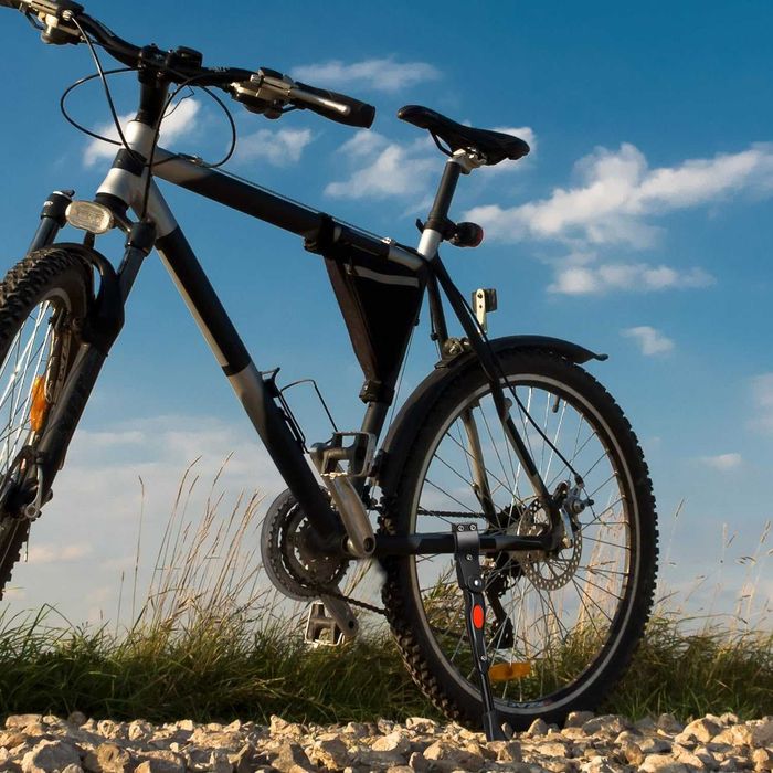 Cric pentru bicicletă BIKE PRO, reglabil pe înălțime din aluminiu.