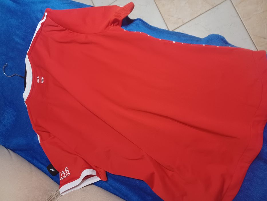 Bayern 2023 authentic