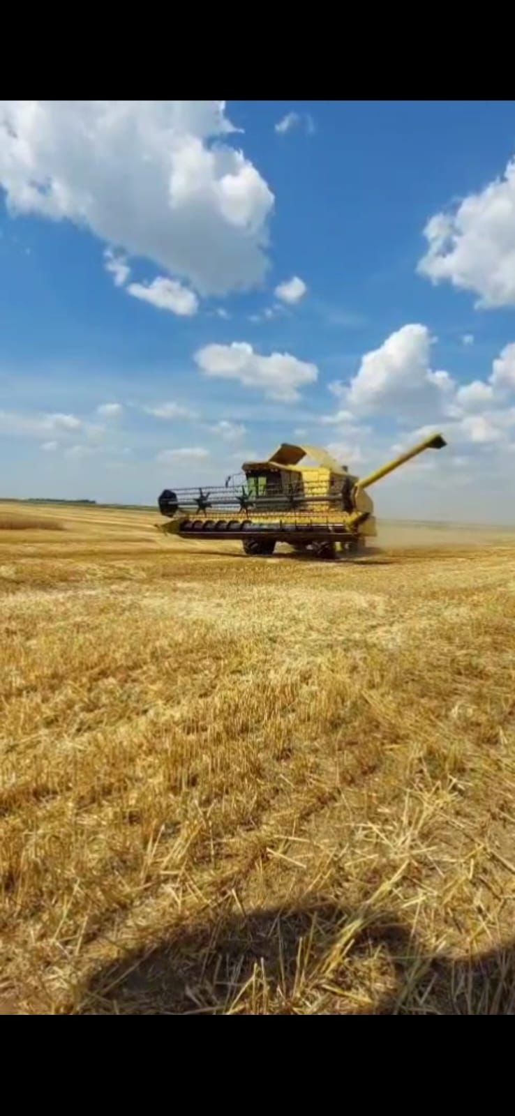 New Holland TF46