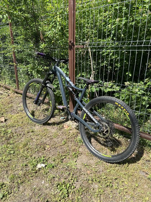 Rockrider am 50 s