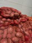 Cartof alb rosu de consum, cartofi porci