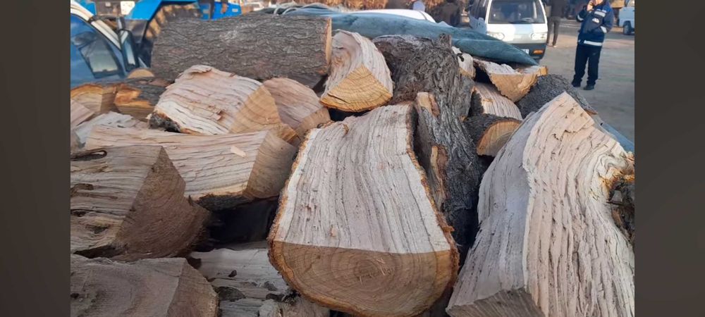 Утин сотилади доставка бор