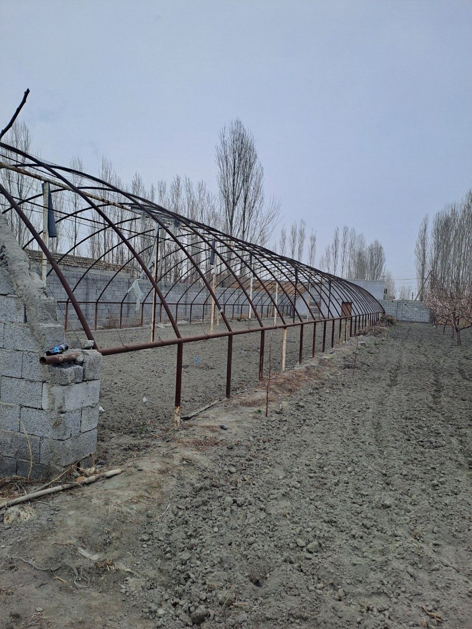 Парник иссикхона
