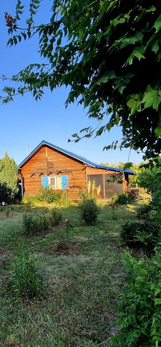 Teren Simian cu pomi si vita de vie  de vanzare