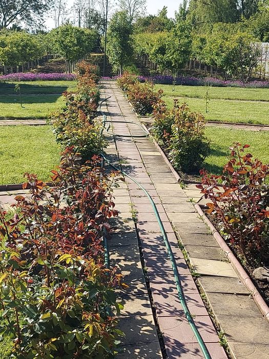 Vand/schimb casa  Ghizdaru,Stanesti,Giurgiu
