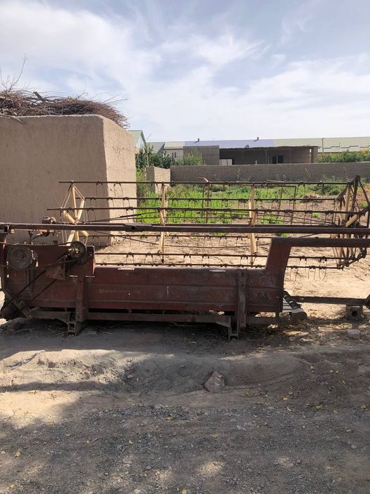 Jatka sotiladi holati ideal sholi beda òradi