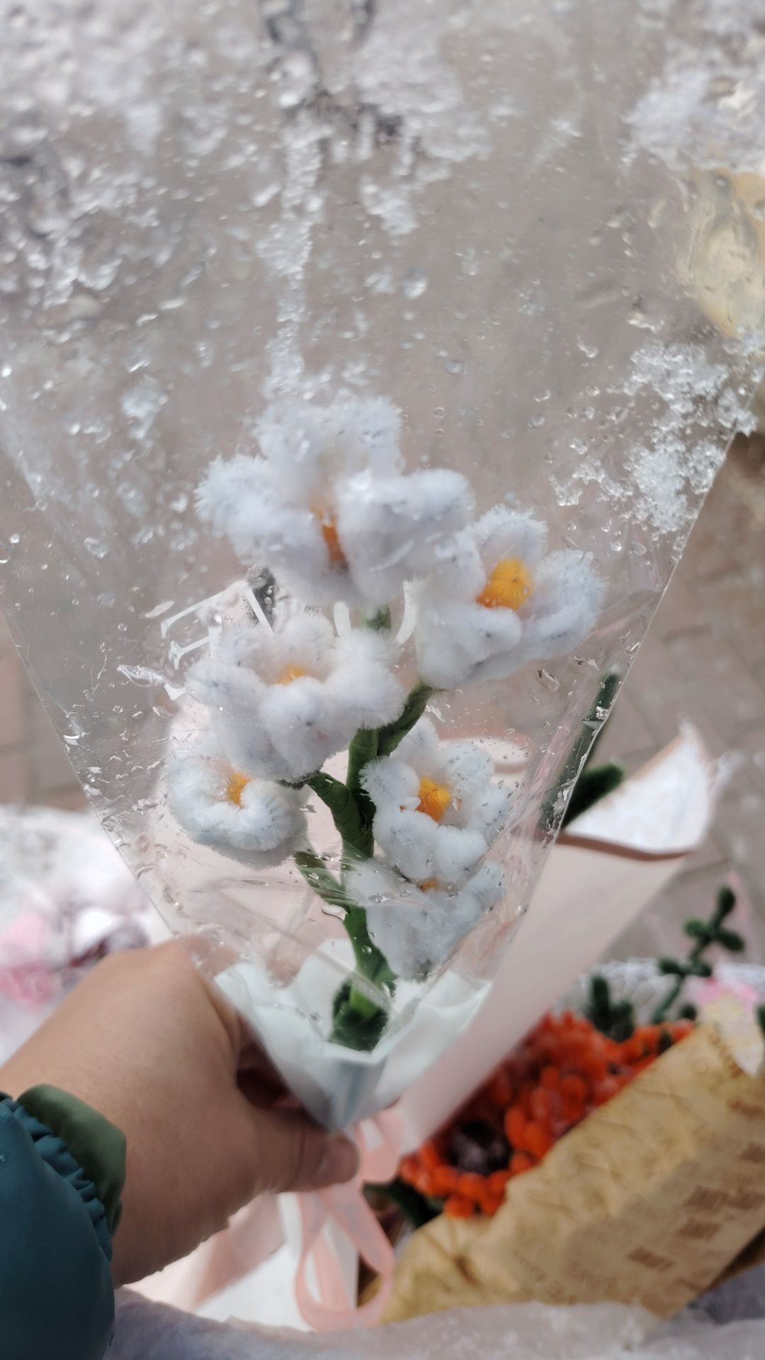 продам пушистые цветы