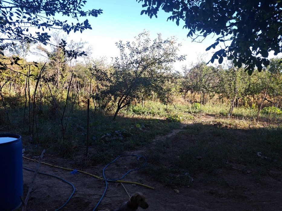 Поземлен имот - с. Смочан (къща с дворно място)