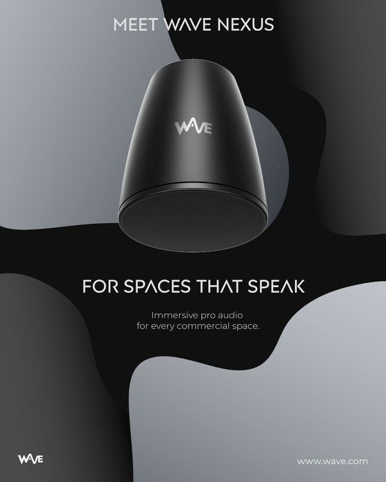 Web Design/Graphic Design