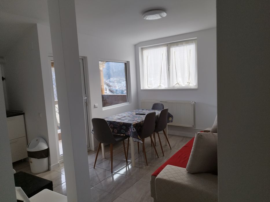 Cazare revelion Busteni,vila 16 persoane,