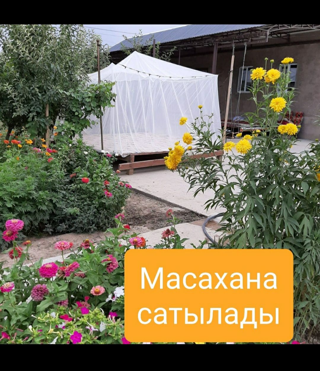 Масахана Шымкент