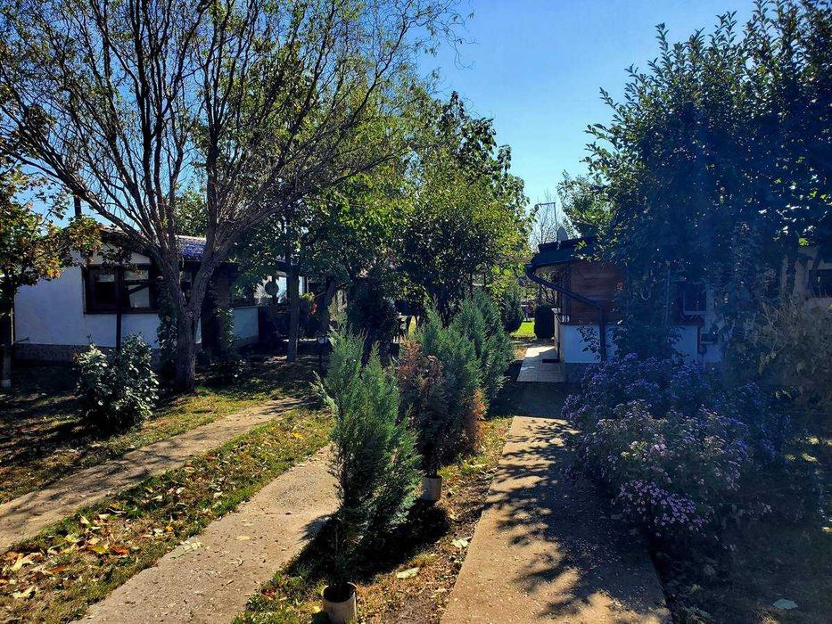 Vand proprietate de vis - o oaza verde la doar 28 km de Bucuresti
