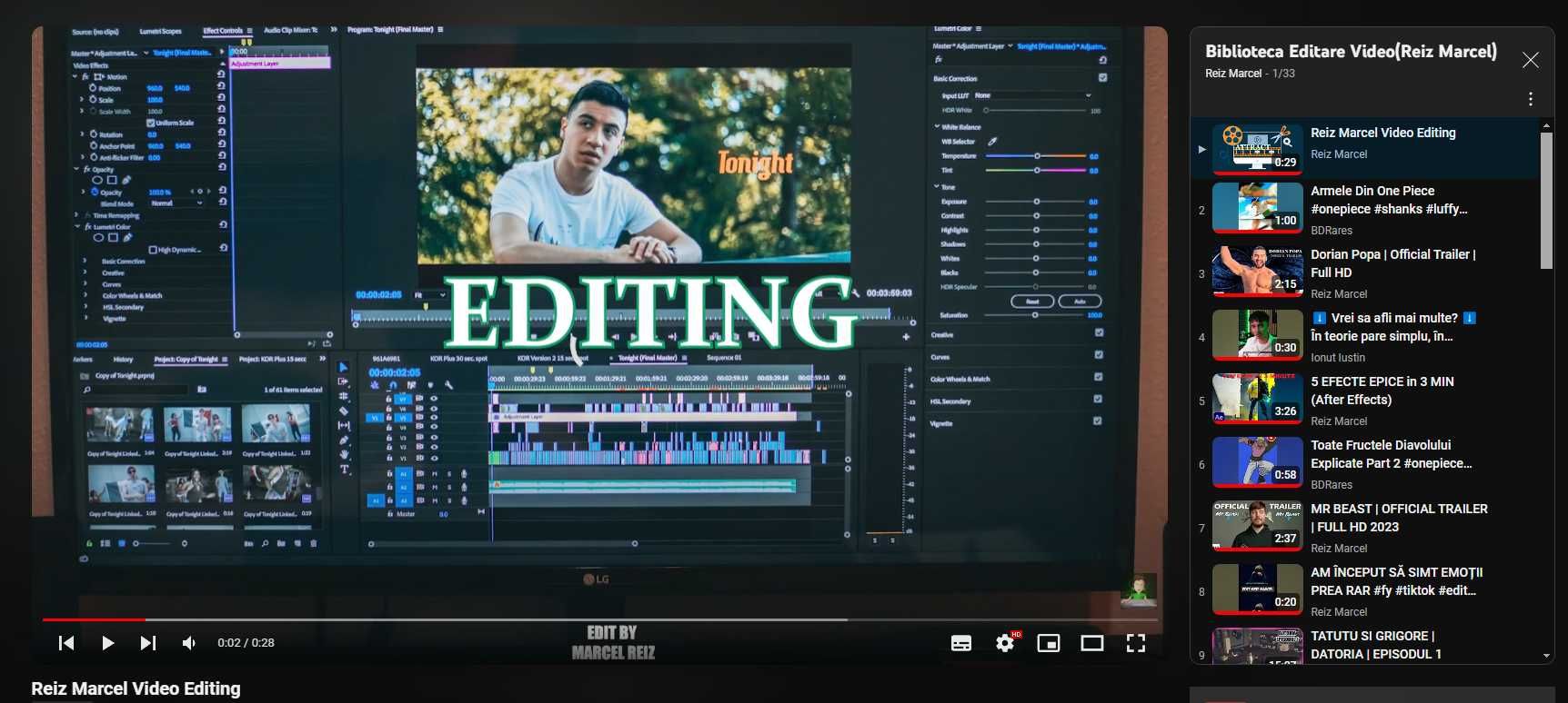 Video Editor Profesional