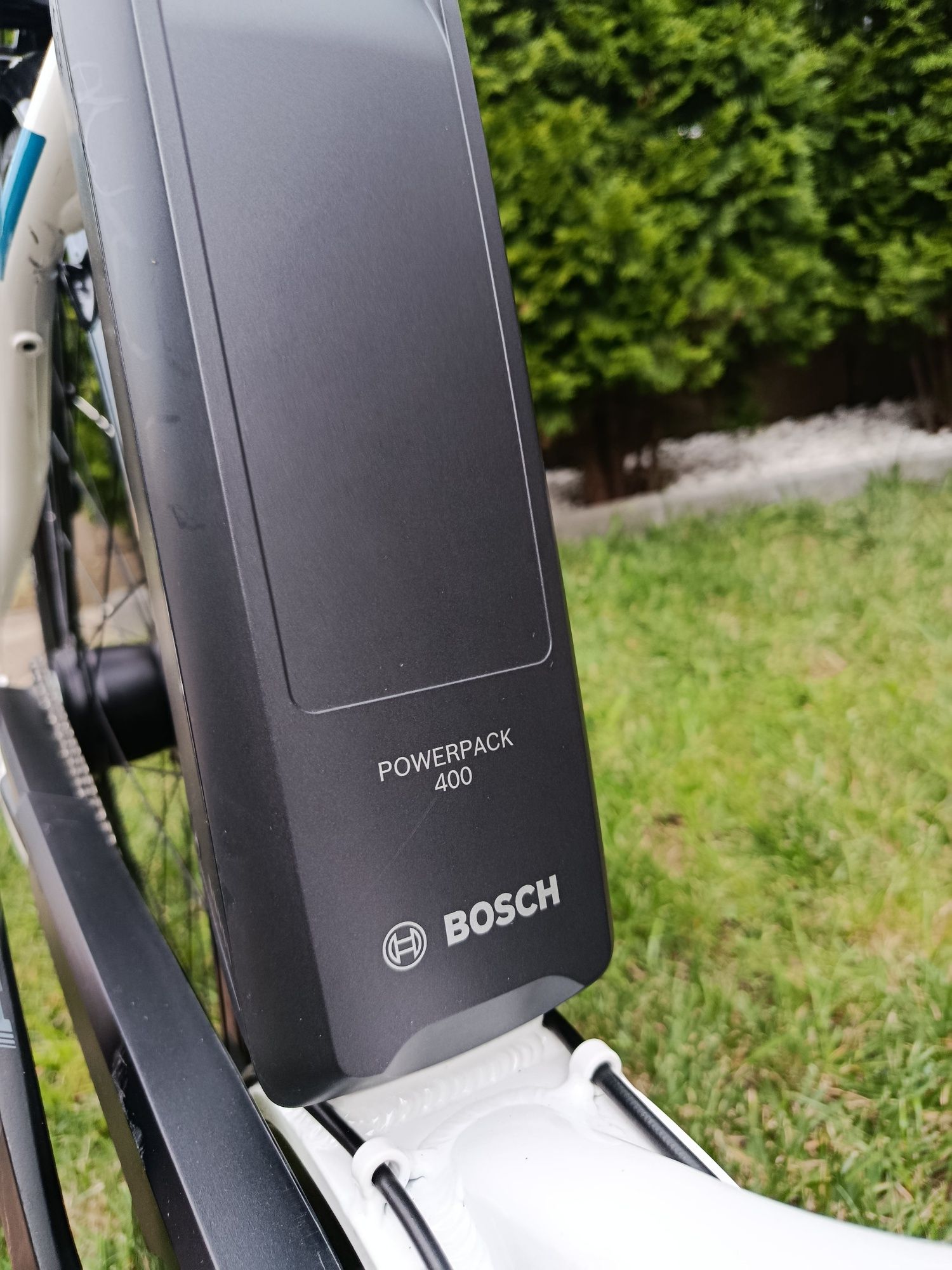 Pegasus Ancura E8R Disc 28