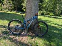 Dominate full suspension carbon