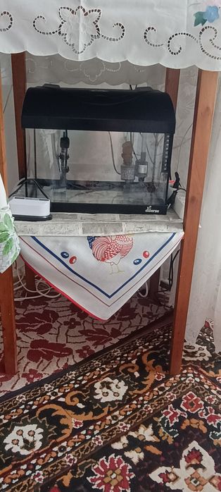 Vind acvariu pești exotici!