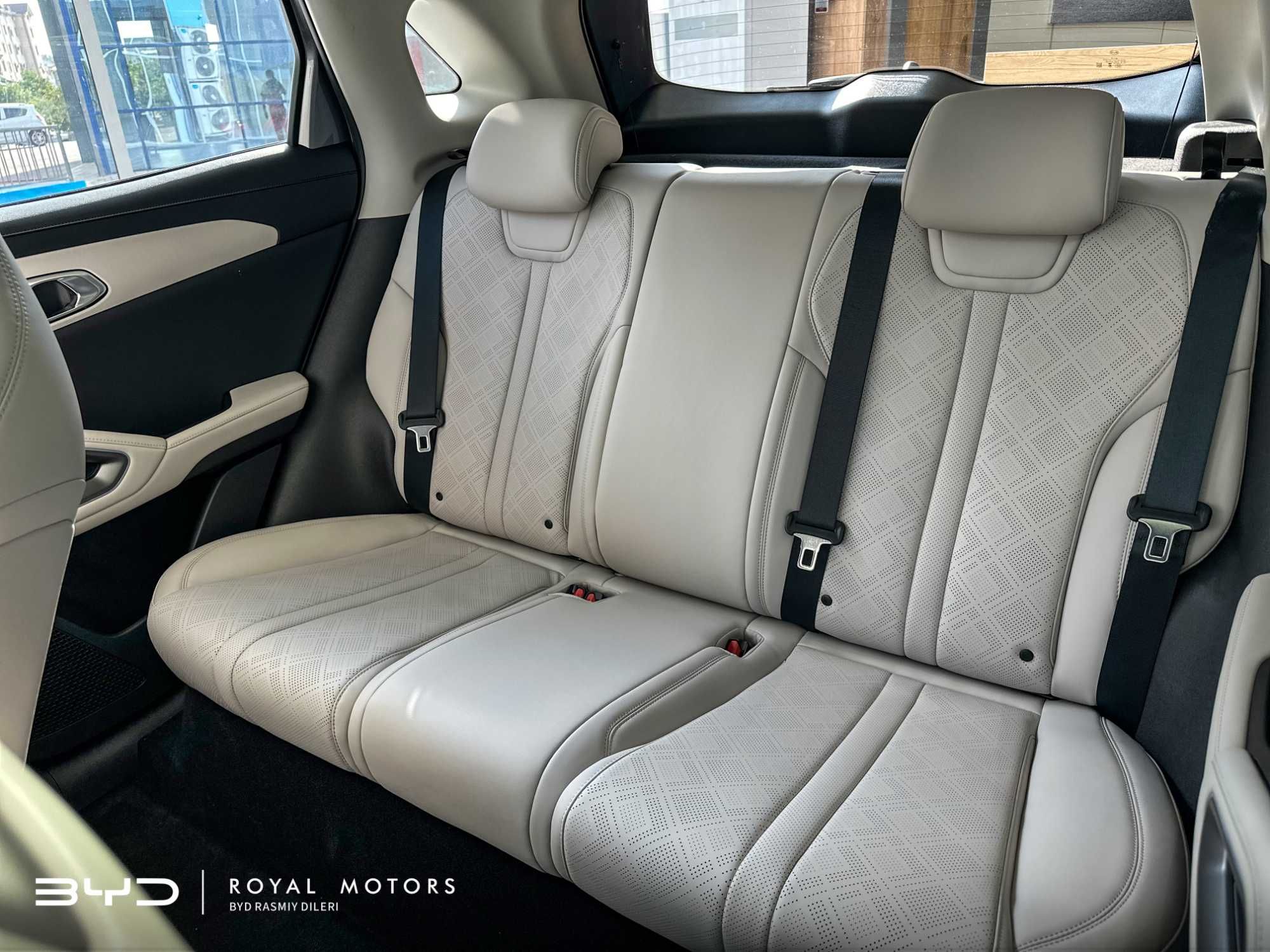 BYD YUAN UP 401km Flagship