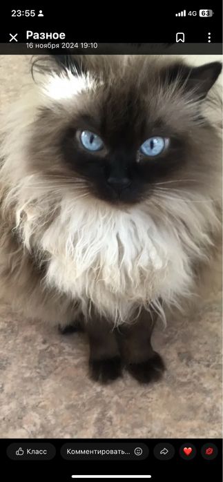 Гостиница для животных