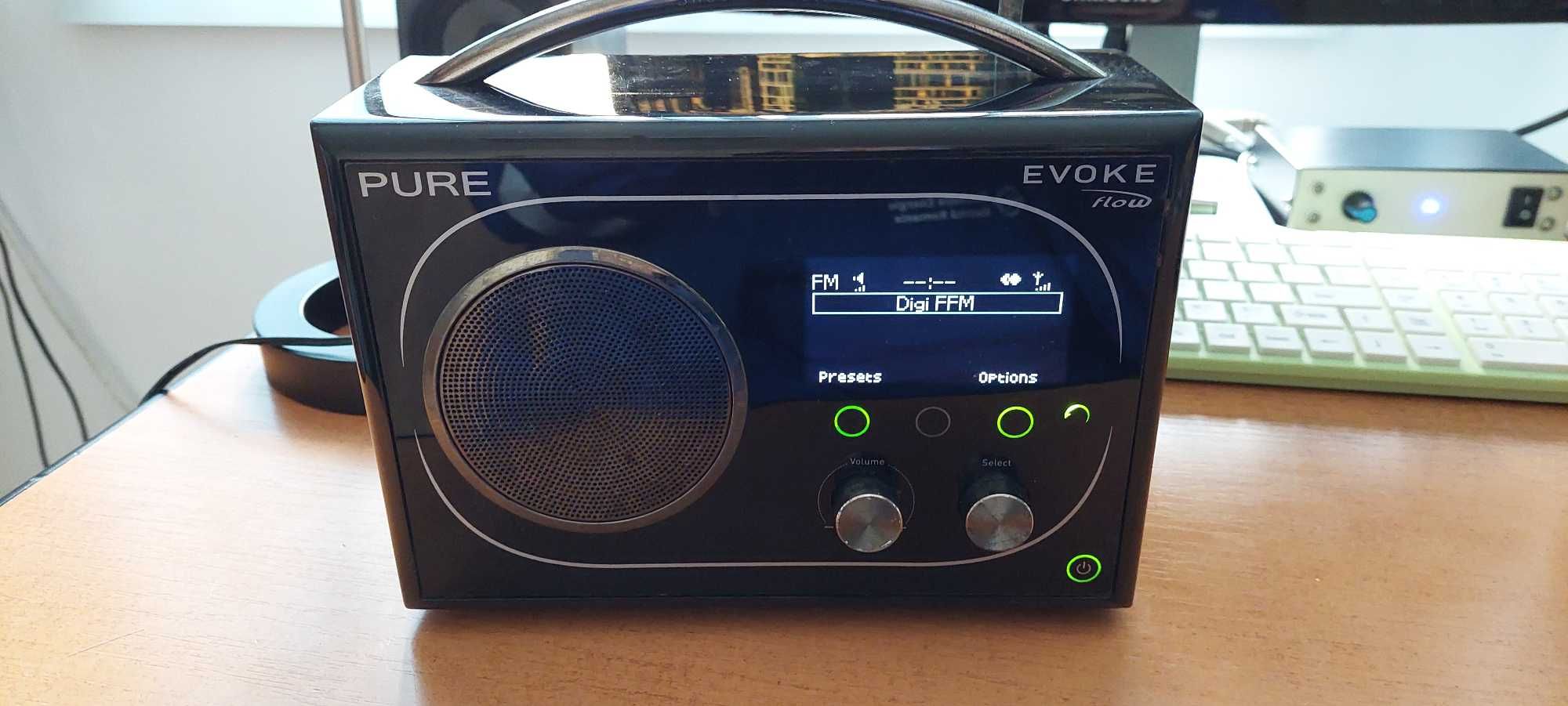 Radio Pure Evoke Flow Portable FM / DAB