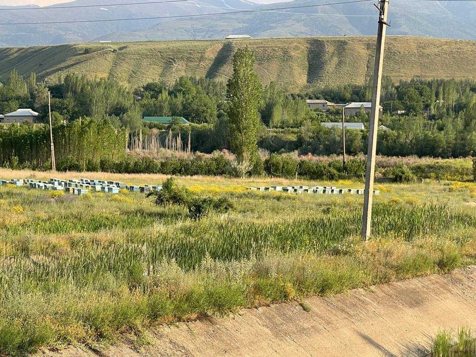 Хозяйство рыбное в Бахмальском районе Джиззакской области