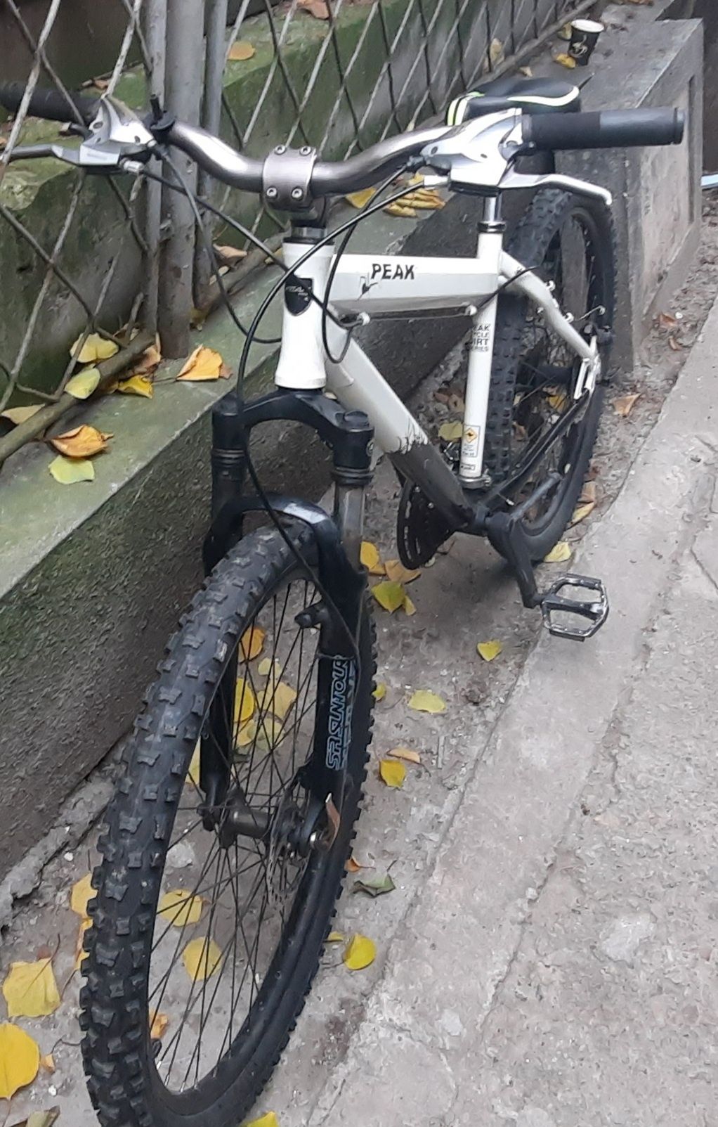 Bicicletă PeakcycleOZ4