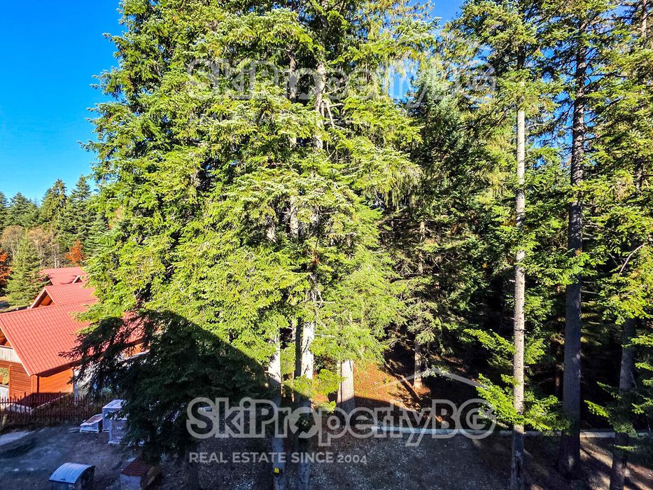 Апартаменти в к-с Даниел Резидънс сред боровата гора в Боровец!