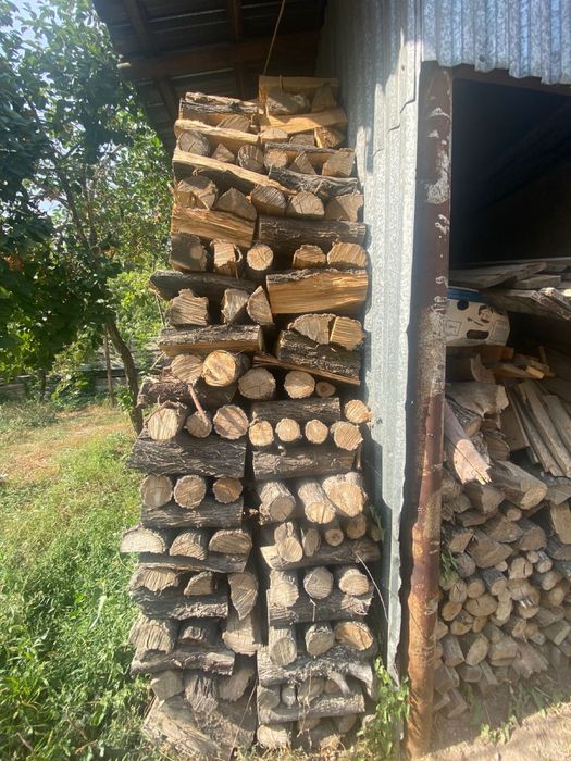 дрова карагач баня/шашлык