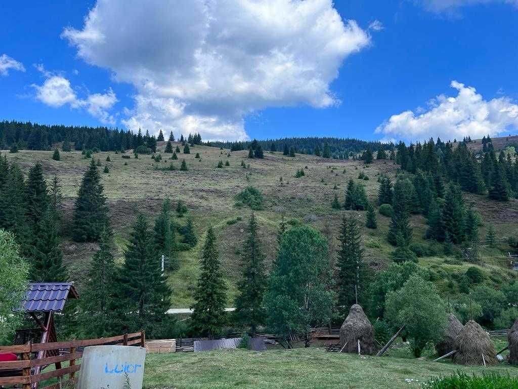 Vand teren in Belis, Poiana Horea ~2 parcele