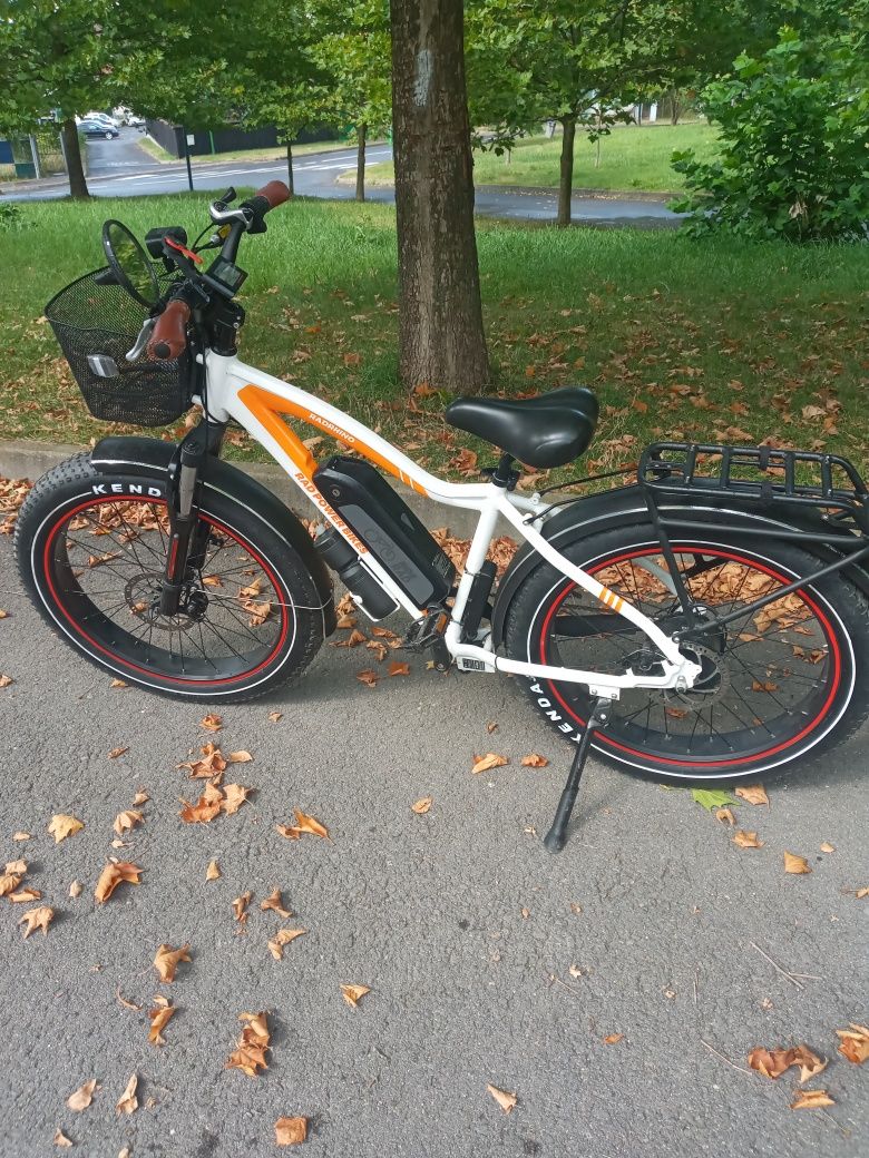 Vănd bicicleta electrica RAD POWER RADRIHNO