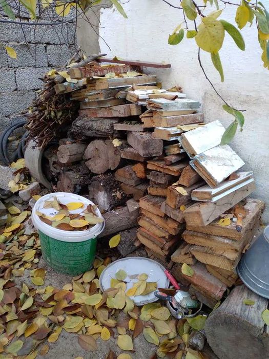 Продам сухие дрова