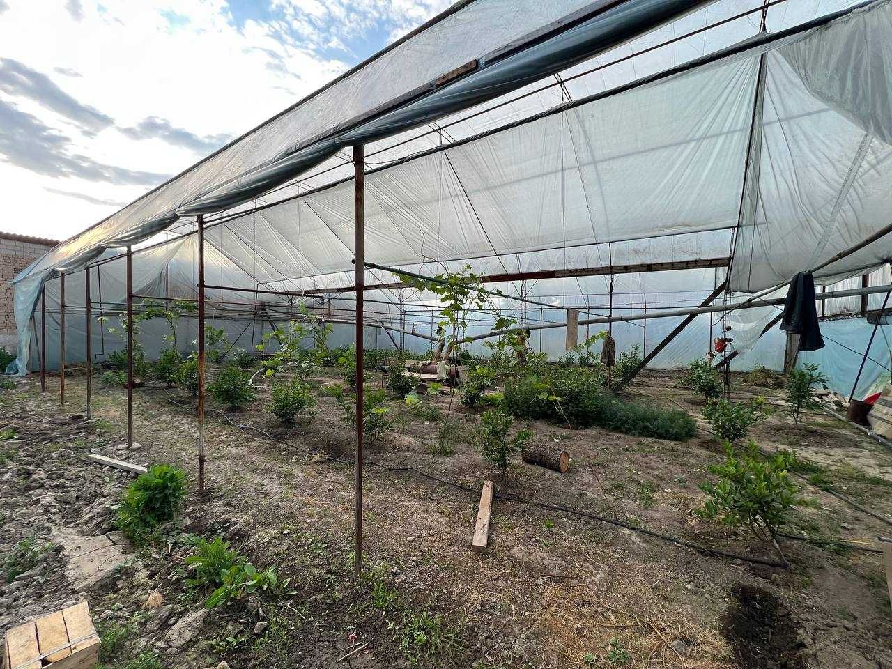 FOOD CITY и Катта Куйлик бозори ёнида махаллада уй сотилади, срочный