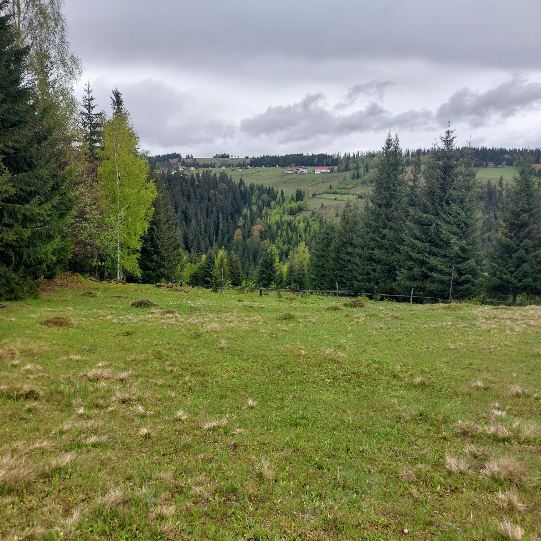 Vand teren in Bucovina!! 2.5 ha din care 7000 m2 intravilan