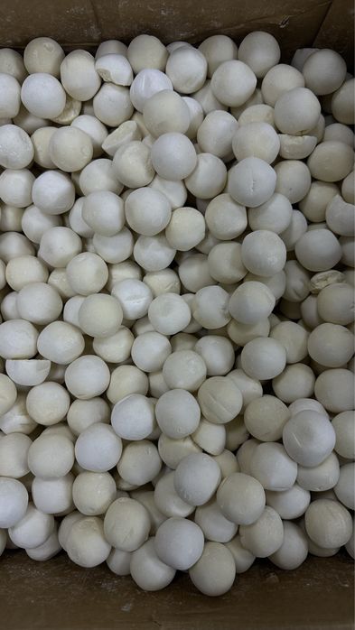 Курт құрт оптом