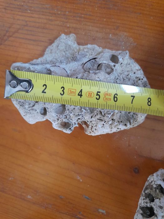 pietre si scoici pentru decoratiuni și acvariu